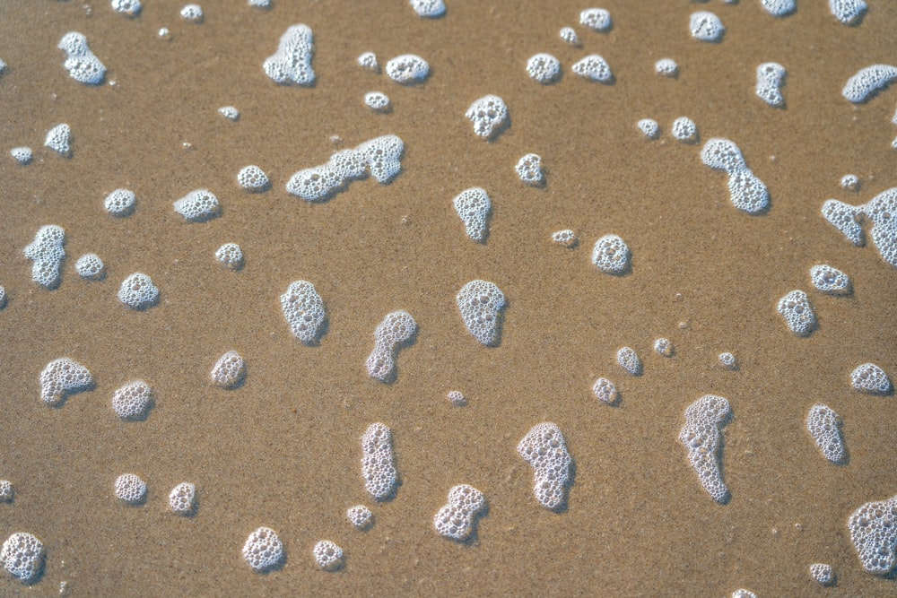 pietre bianche e nere su sabbia marrone