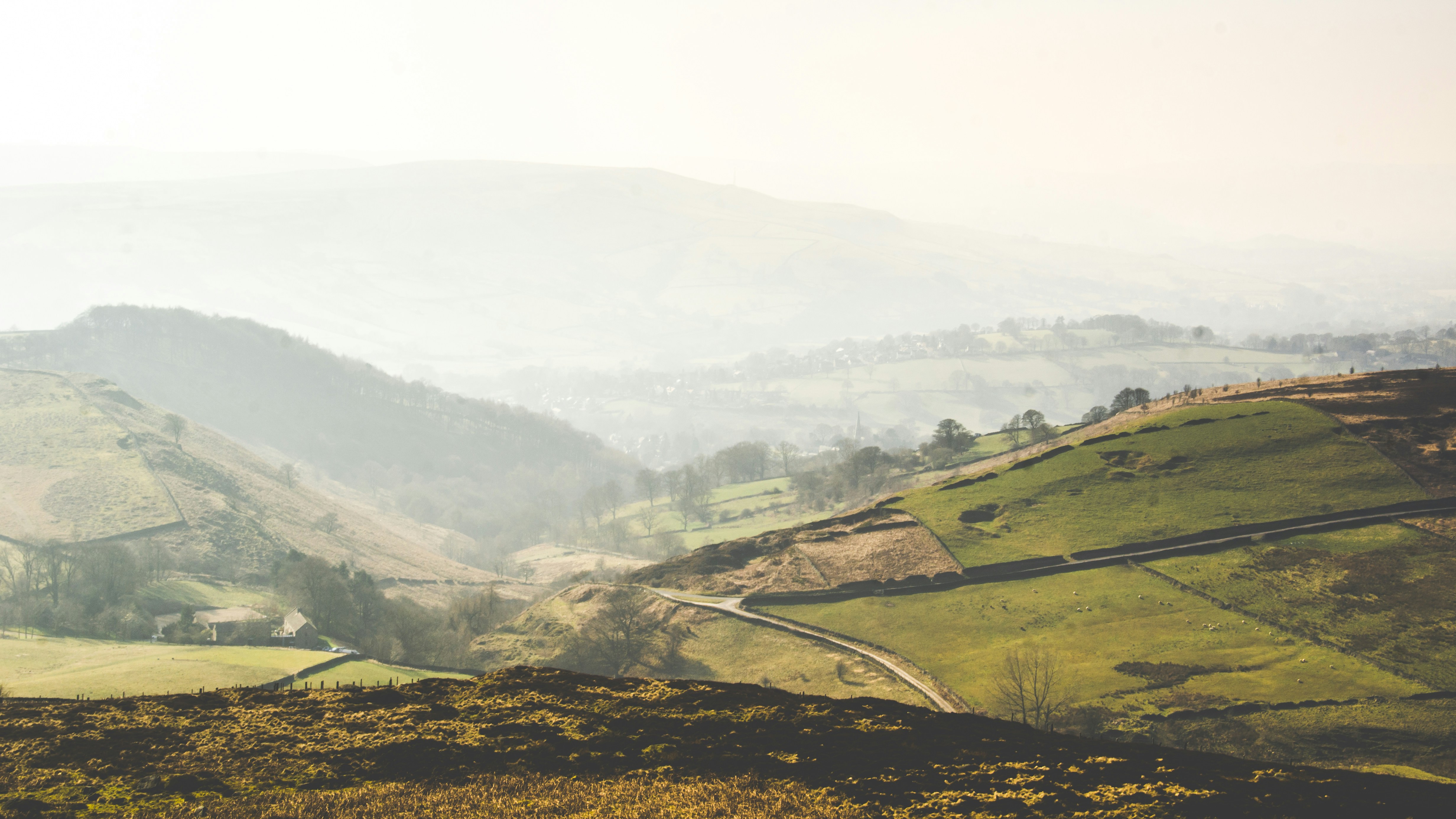 Photo by shanerounce