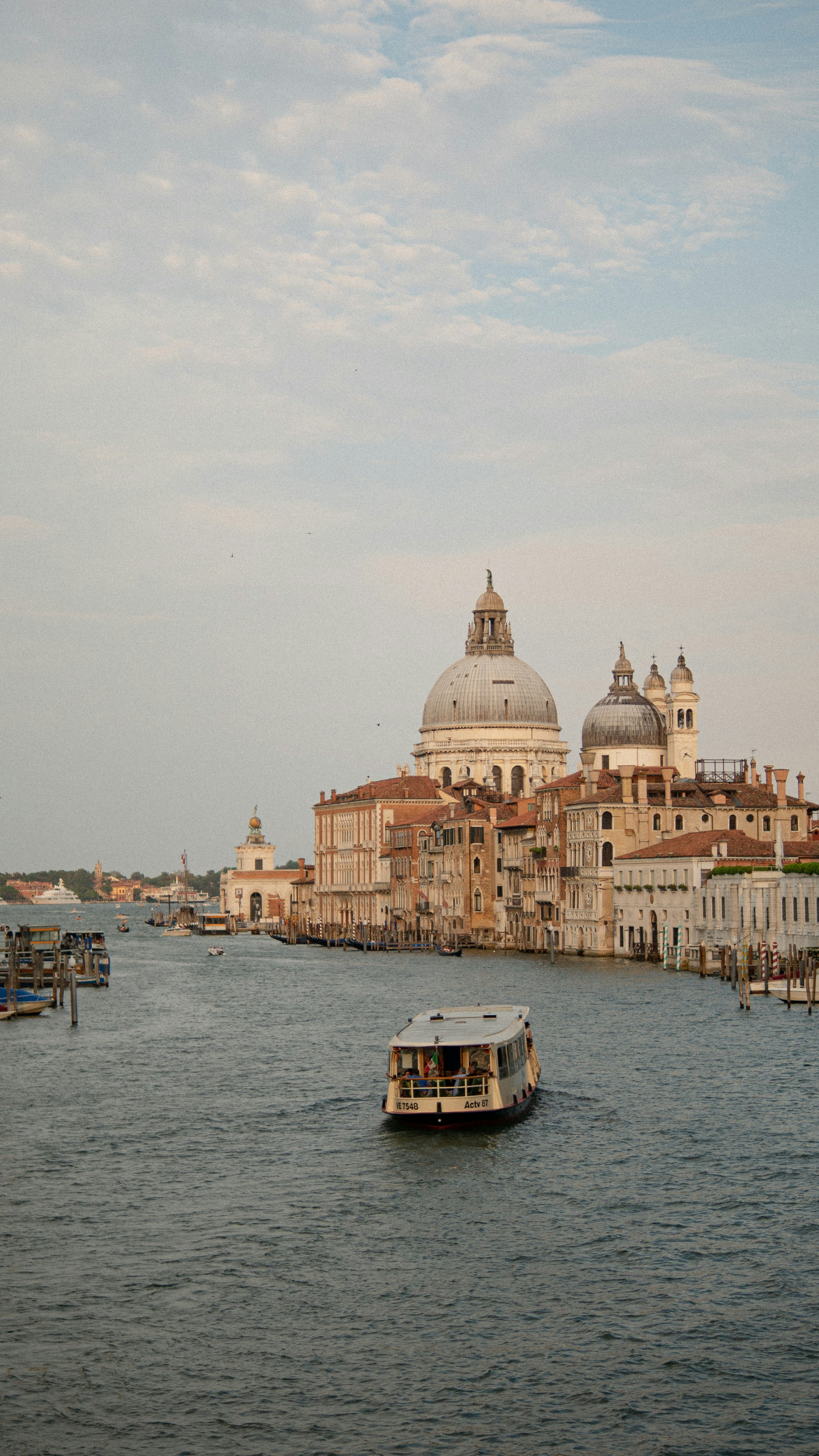 Photo by lucas_friedrich