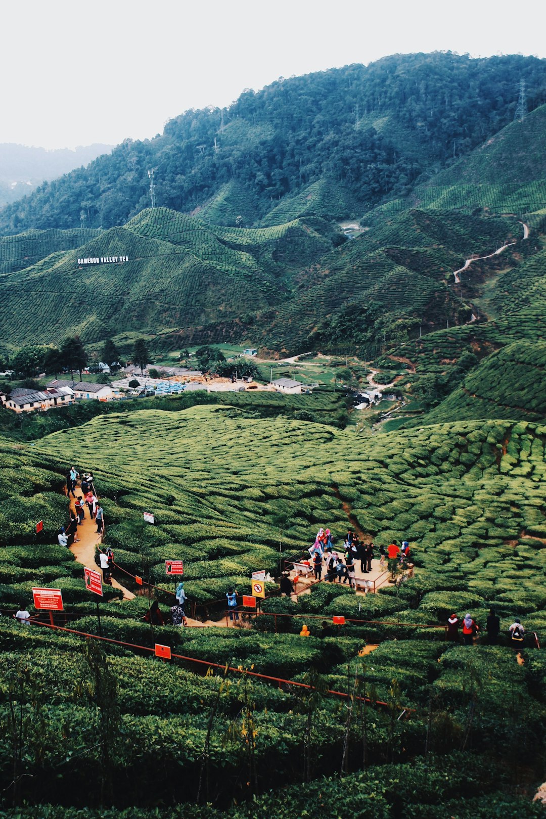 aerial view of green mountains during daytime