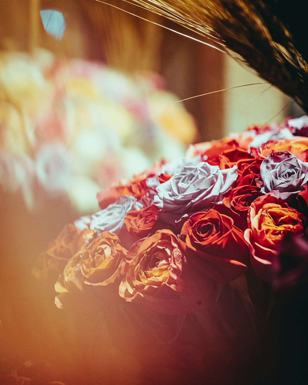 red white and black floral textile