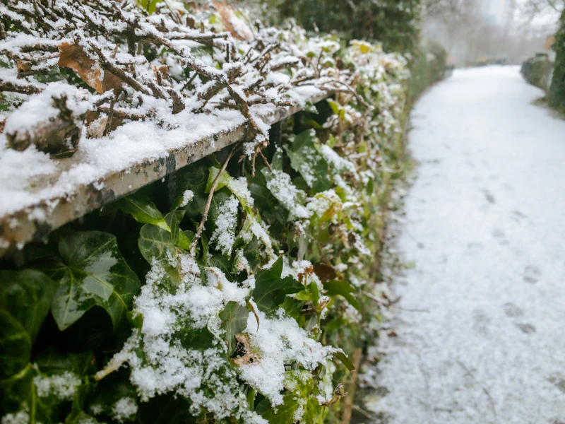 Row covers and protective structures in a garden — fabric weight and edge sealing determine how much frost protection you actually get