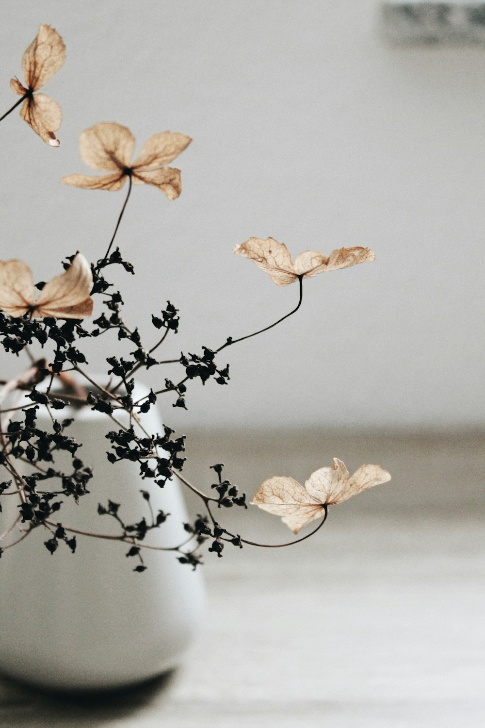 brown leaves on white ceramic vase
