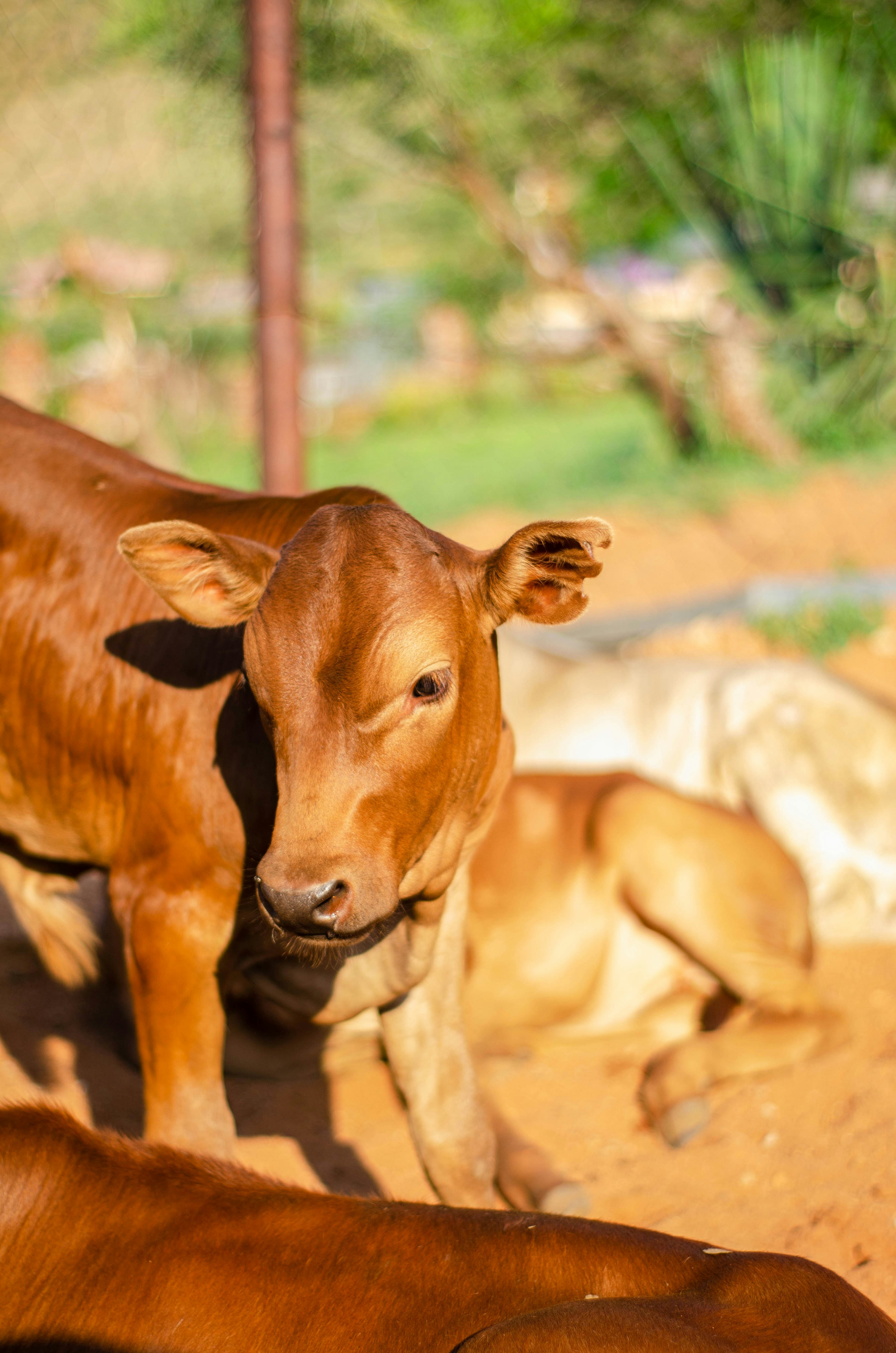 Photo by stewardesign