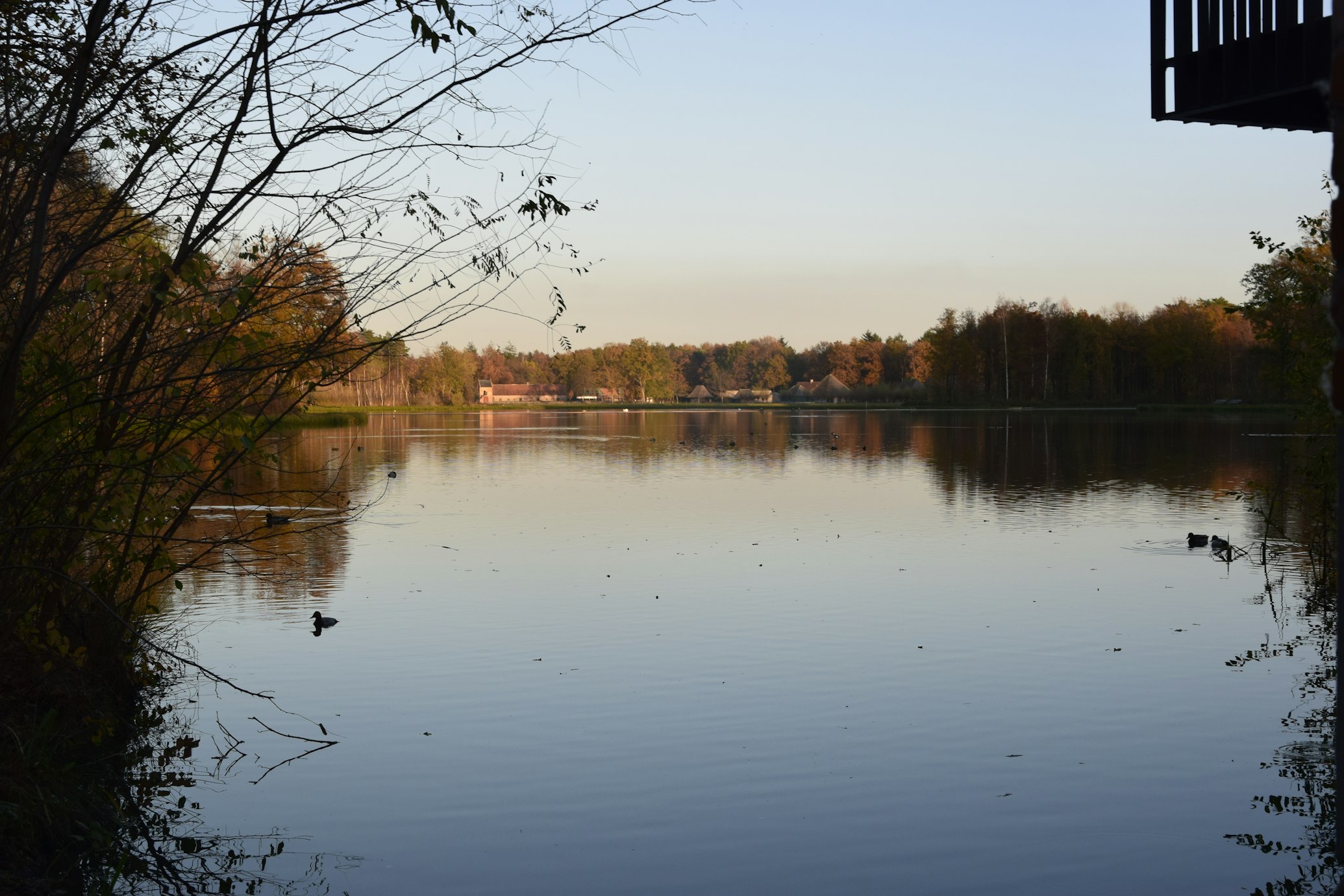 Ontdek de Hotspots van Genk: Van C-Mine tot Shopping