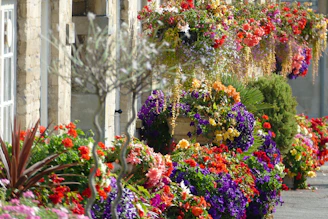 A vibrant display of decorative flower pots in various styles and colors.