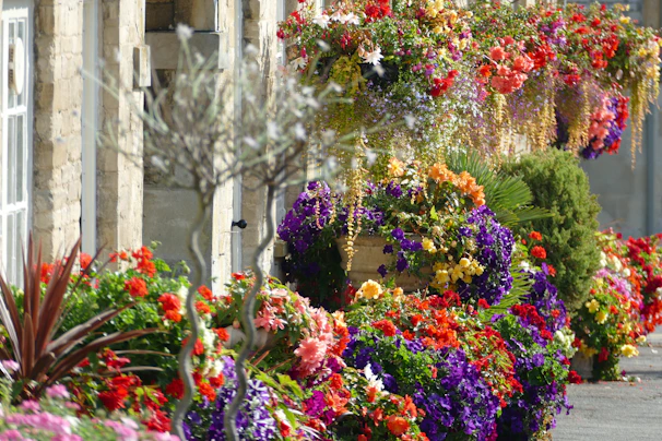A vibrant display of decorative flower pots in various styles and colors.