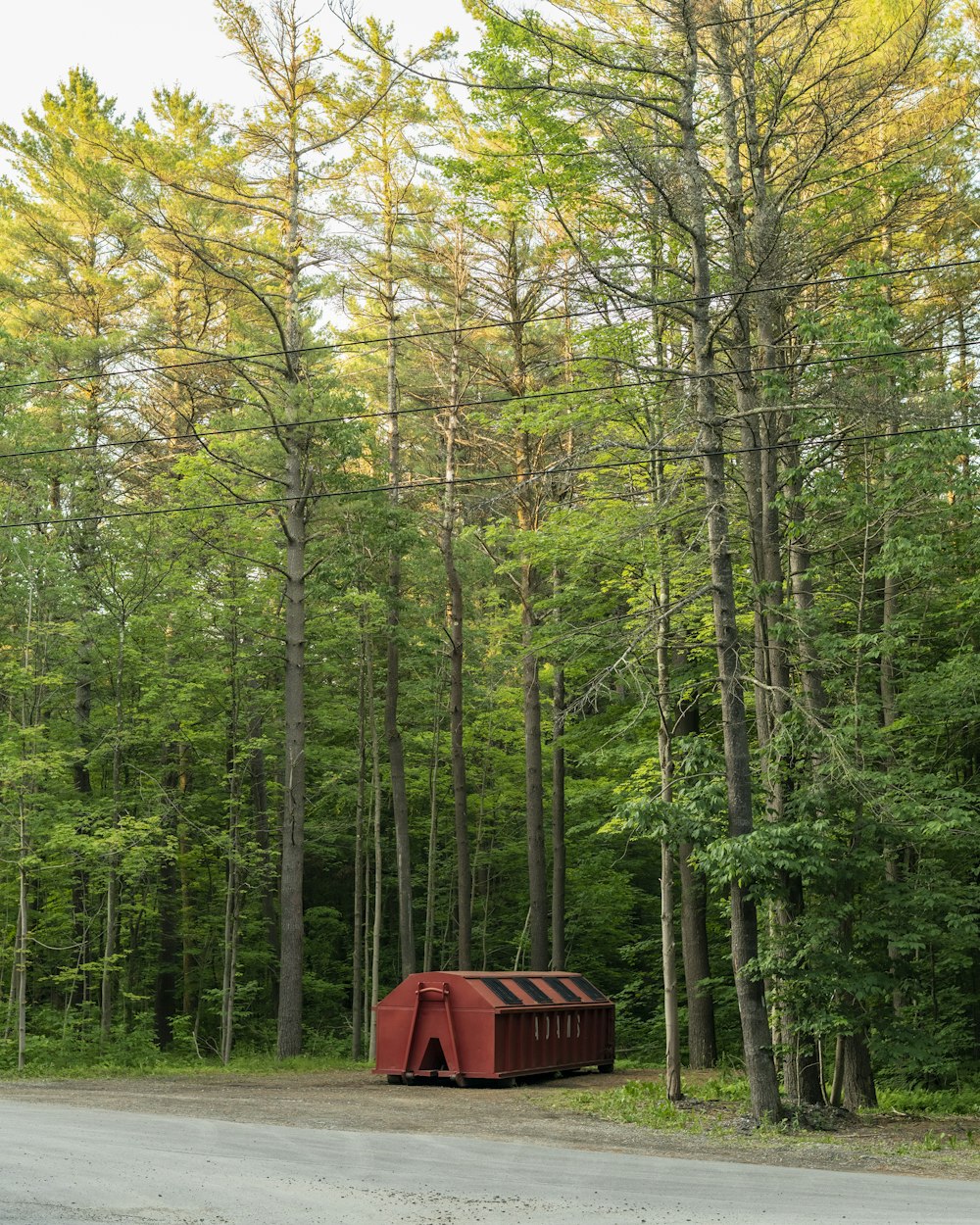 昼間の森の真ん中にある赤と茶色の木造小屋