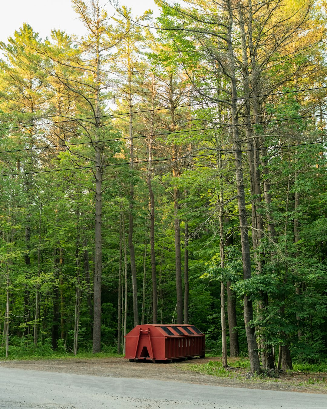 red and brown wooden shed in the middle of forest during daytime