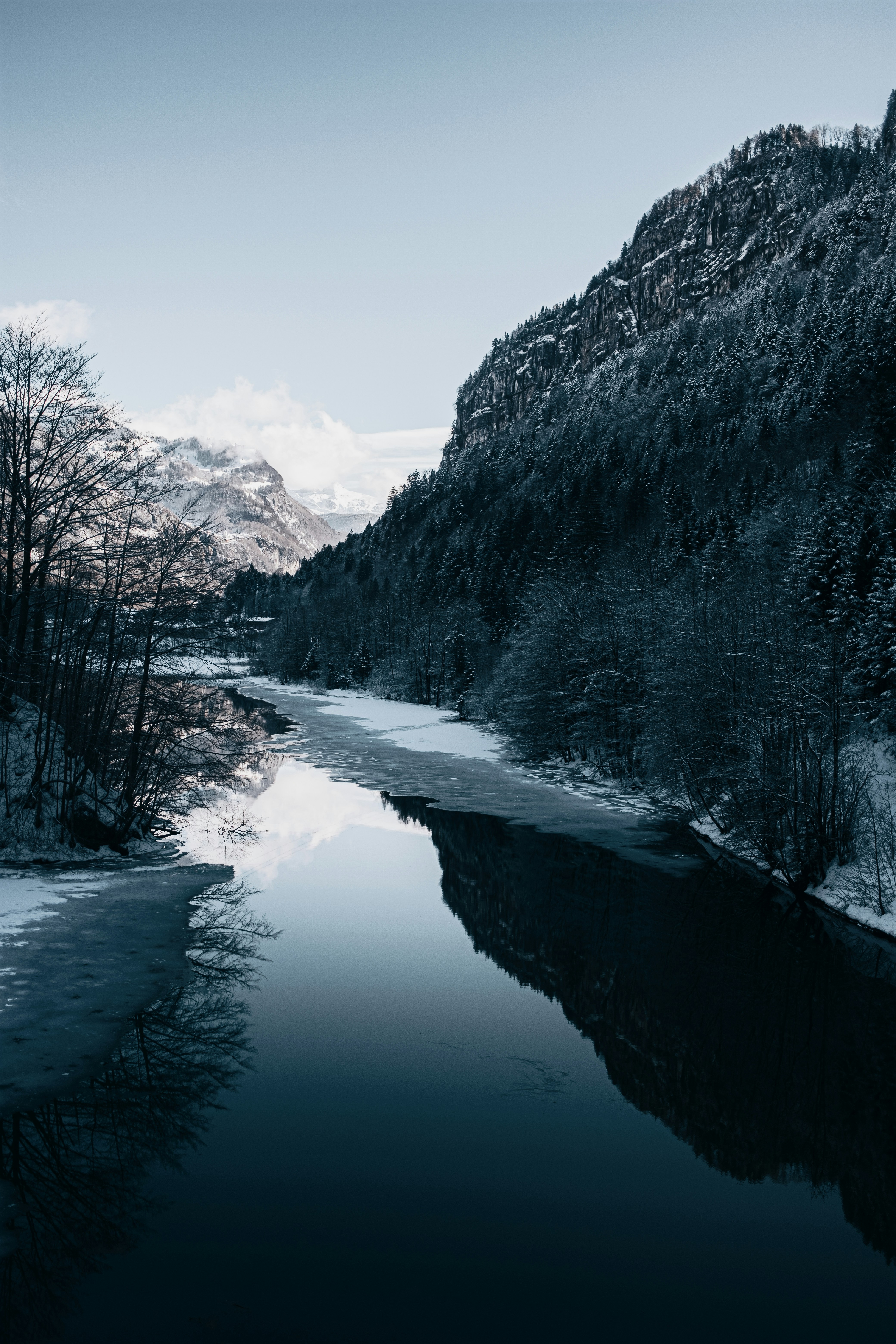 body of water between trees and mountain during daytime