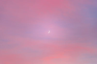 A dreamy collage blending moonlit skies with delicate floral patterns, evoking a sense of ethereal wonder.