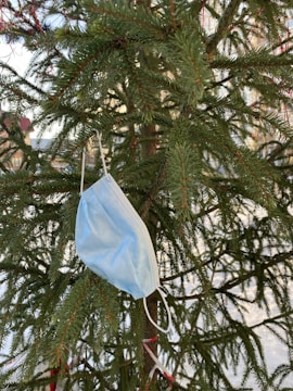 A light blue surgical mask hangs loosely on the branches of an evergreen tree. The tree is lush with green pine needles, and there is a backdrop of a snowy landscape with buildings in the distance.