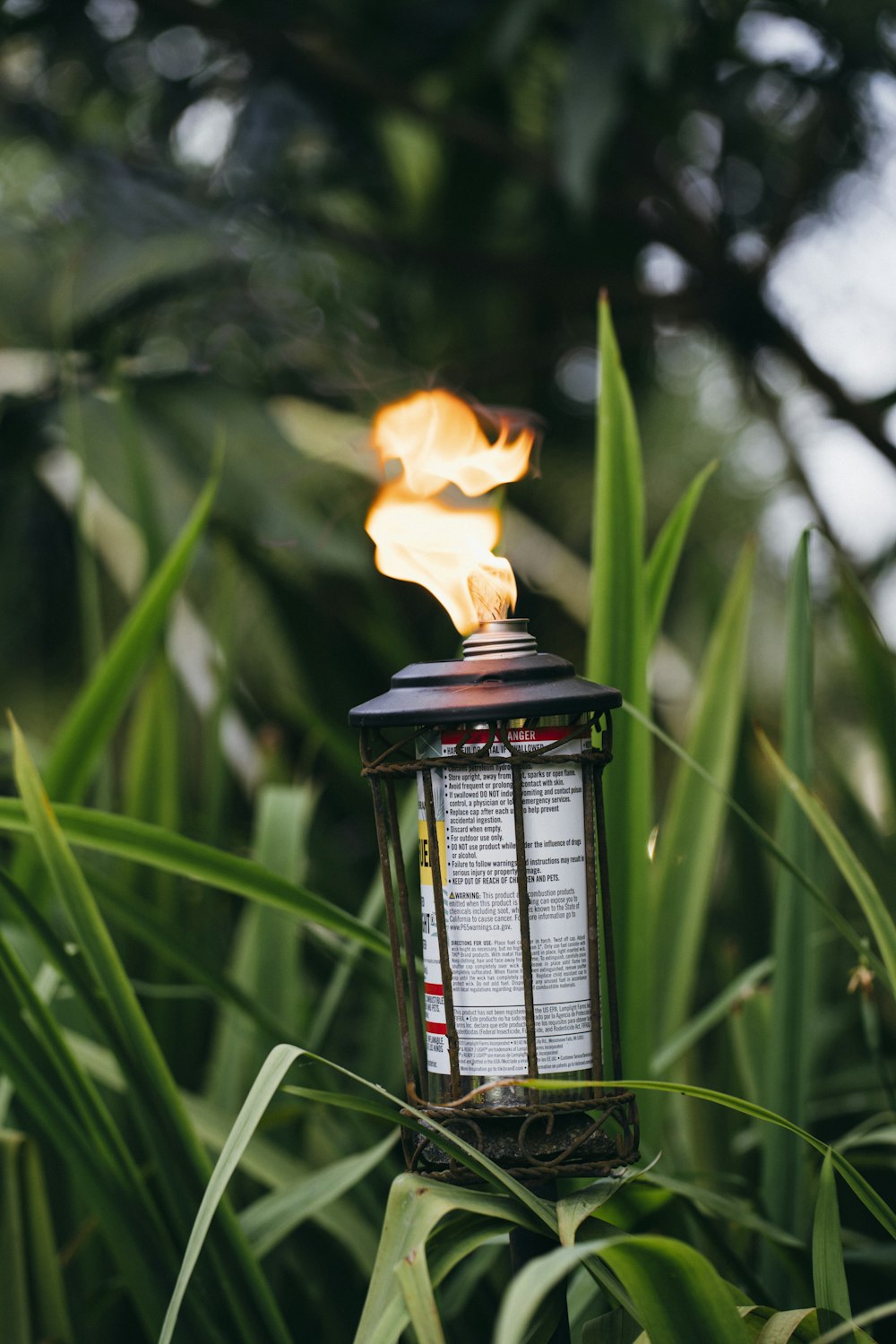 Feu dans un foyer en acier noir