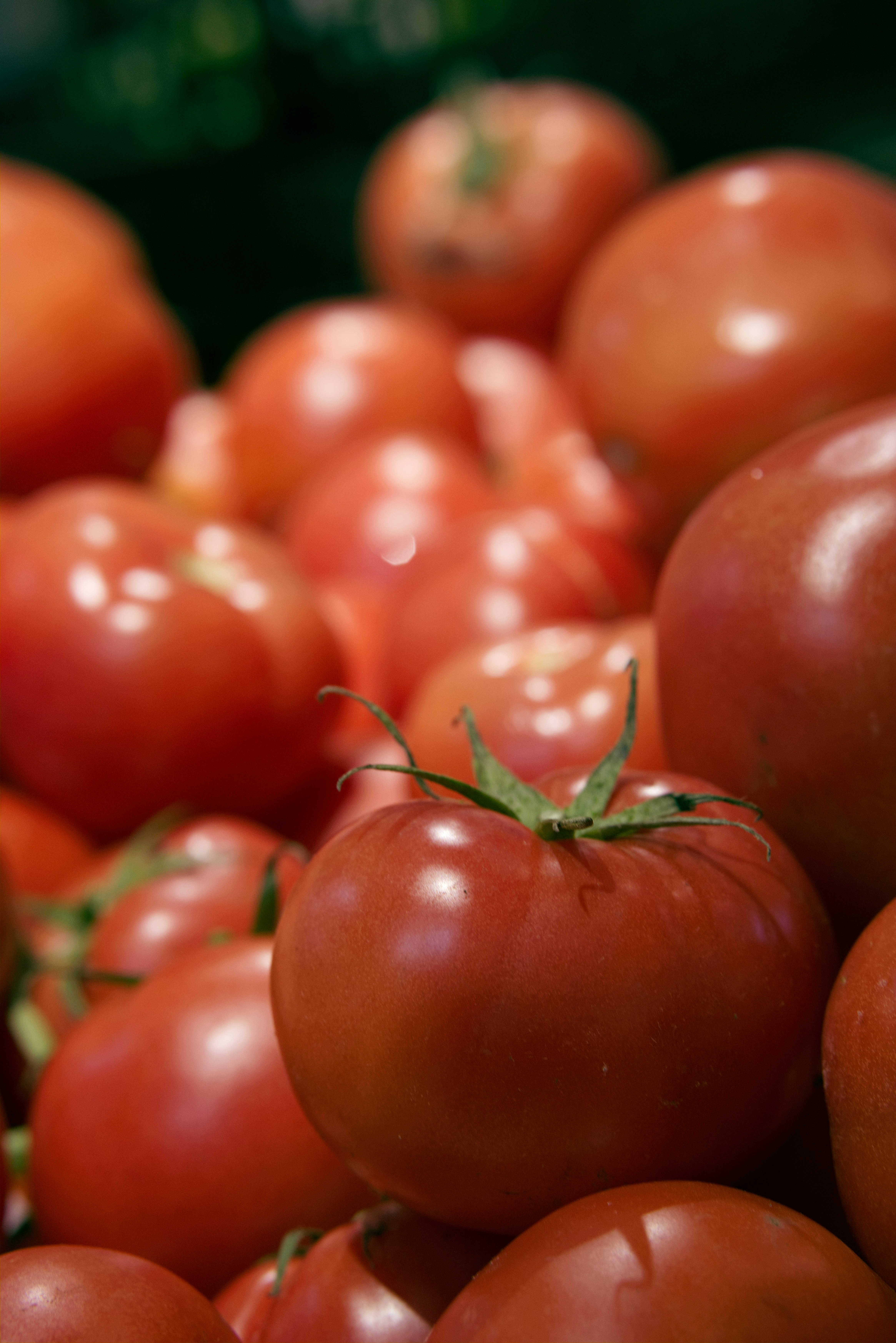 Photo by juliuscarmine