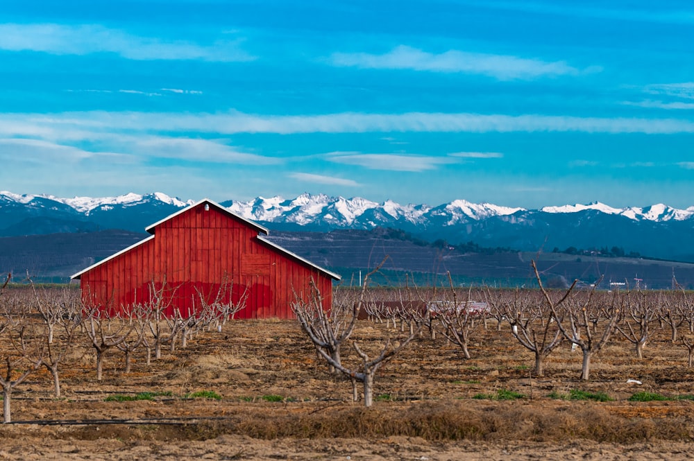 red wooden barn on brown field under blue sky and white clouds during daytime