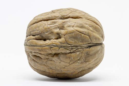 Quality control specialist examining walnut samples in a modern lab.