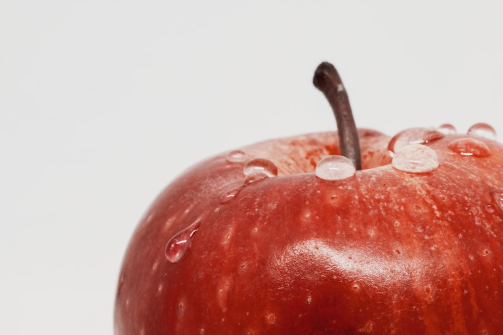 red apple with white background
