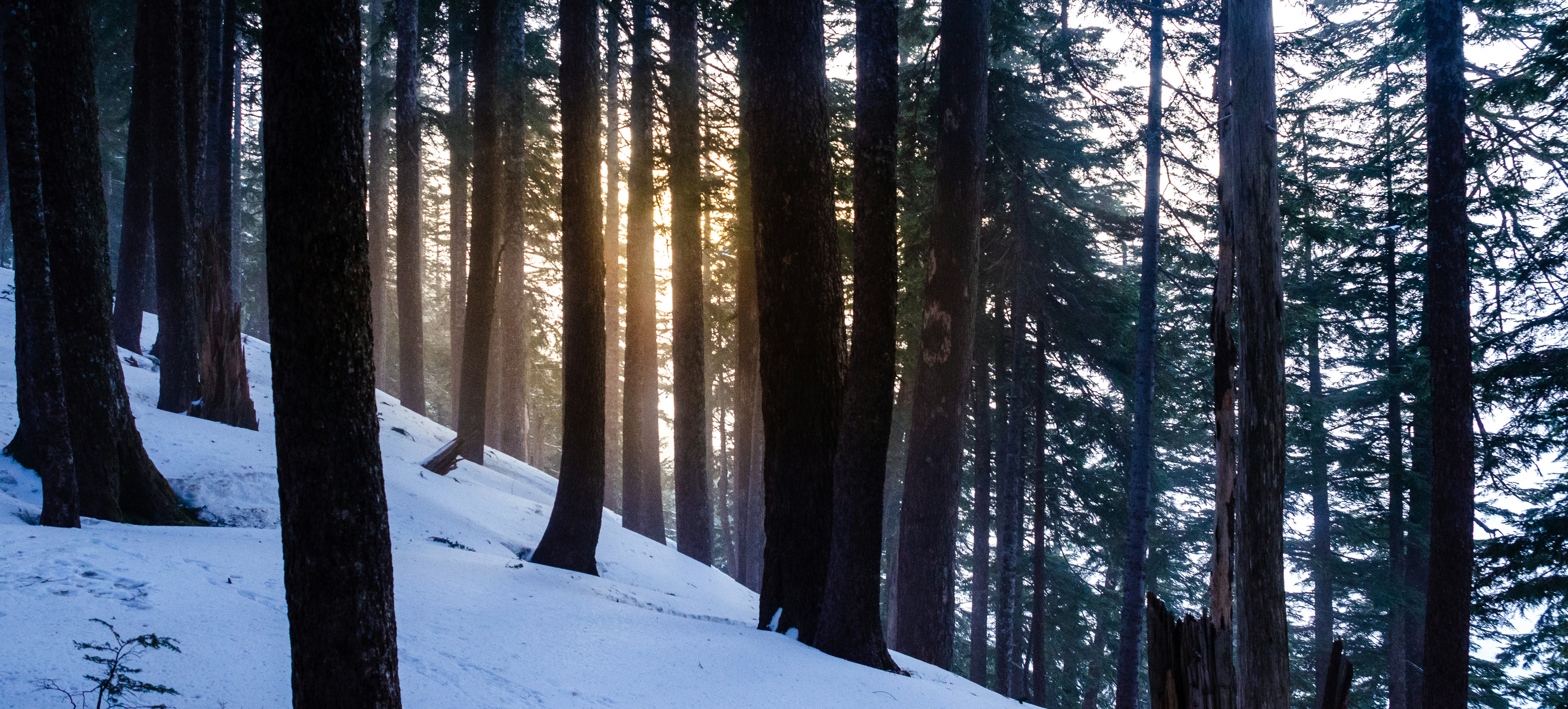 복지카드 사본 신청
