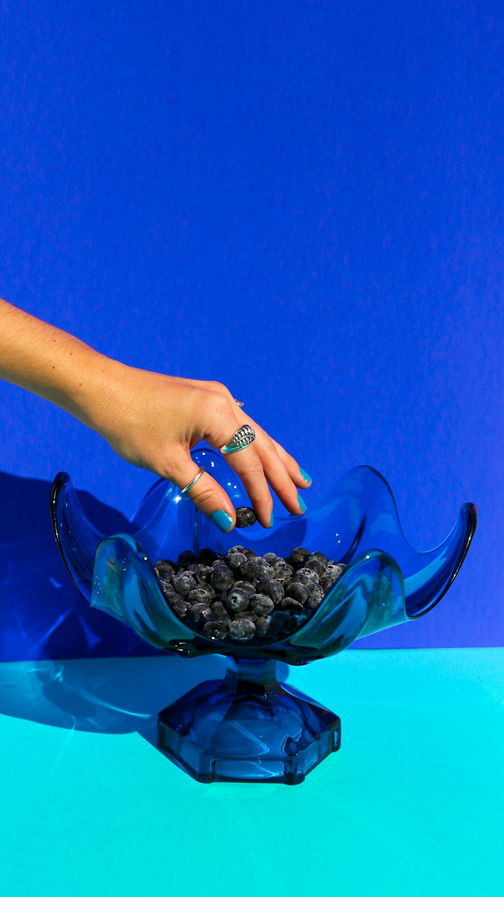 person holding black and brown beans