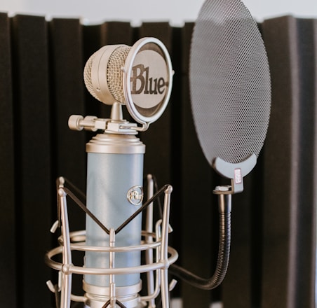 silver and black microphone on black and silver microphone stand