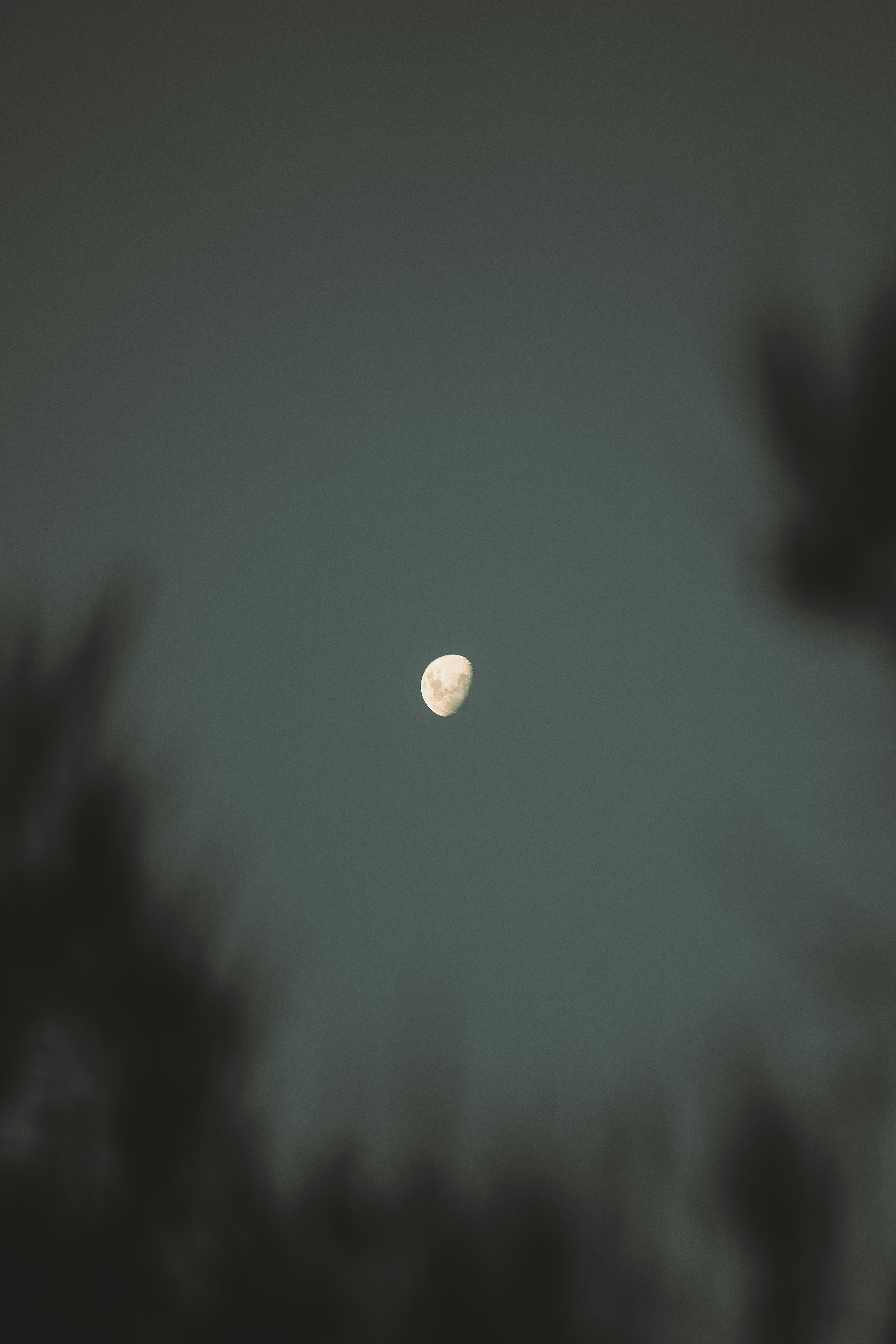 full moon in the sky