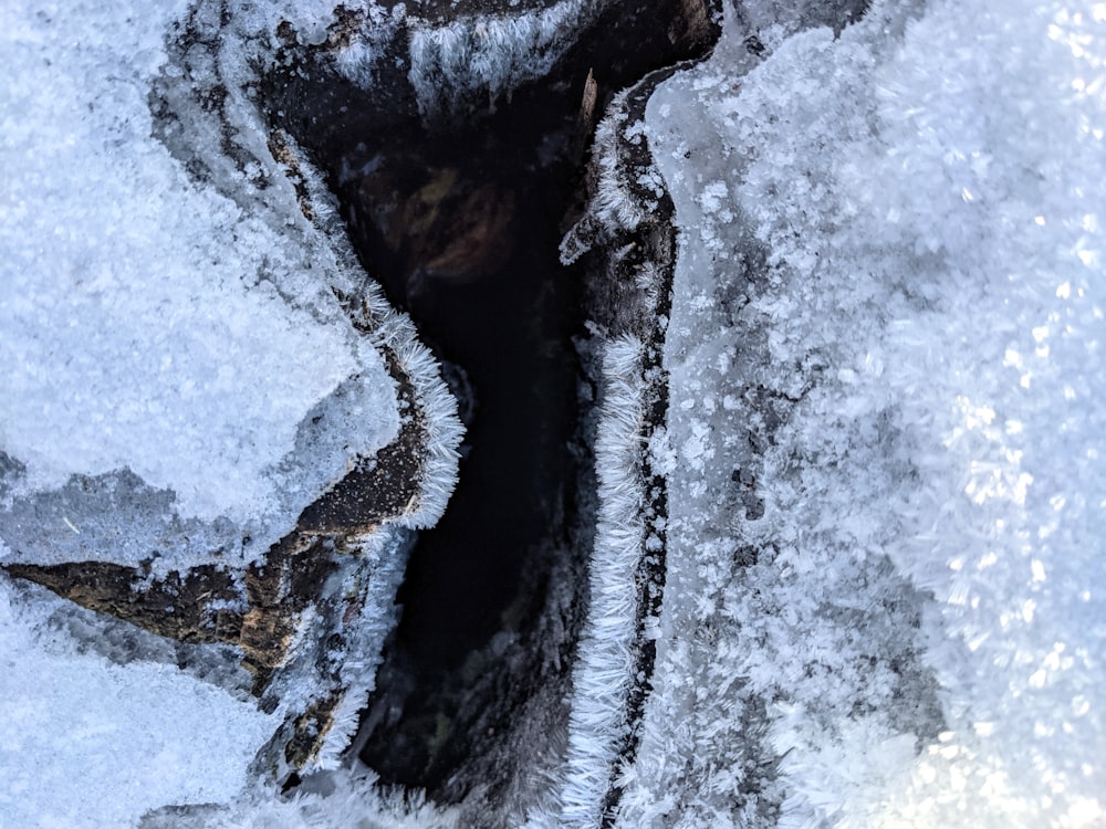 snow covered ground during daytime