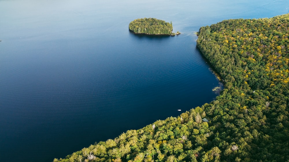 mousse verte sur la formation rocheuse à côté d’un plan d’eau pendant la journée