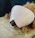 A dog is sitting on a textured cushion, wearing a large sleep mask that covers most of its face, with only the snout visible.