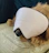 A dog is sitting on a textured cushion, wearing a large sleep mask that covers most of its face, with only the snout visible.