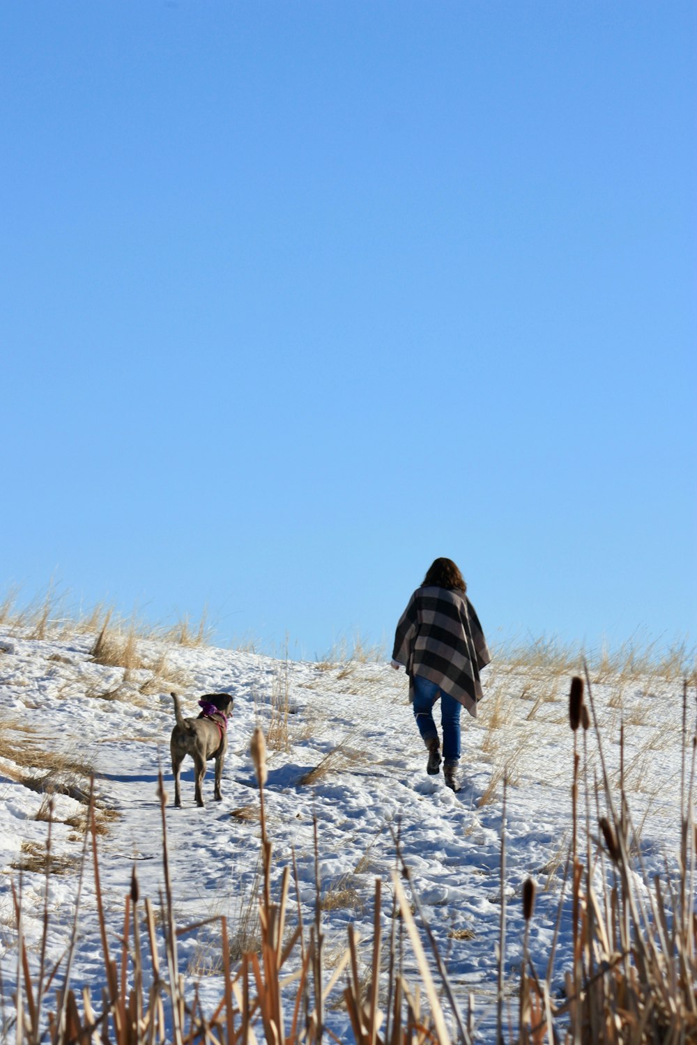 woman in black jacket walking on snow covered ground during daytime