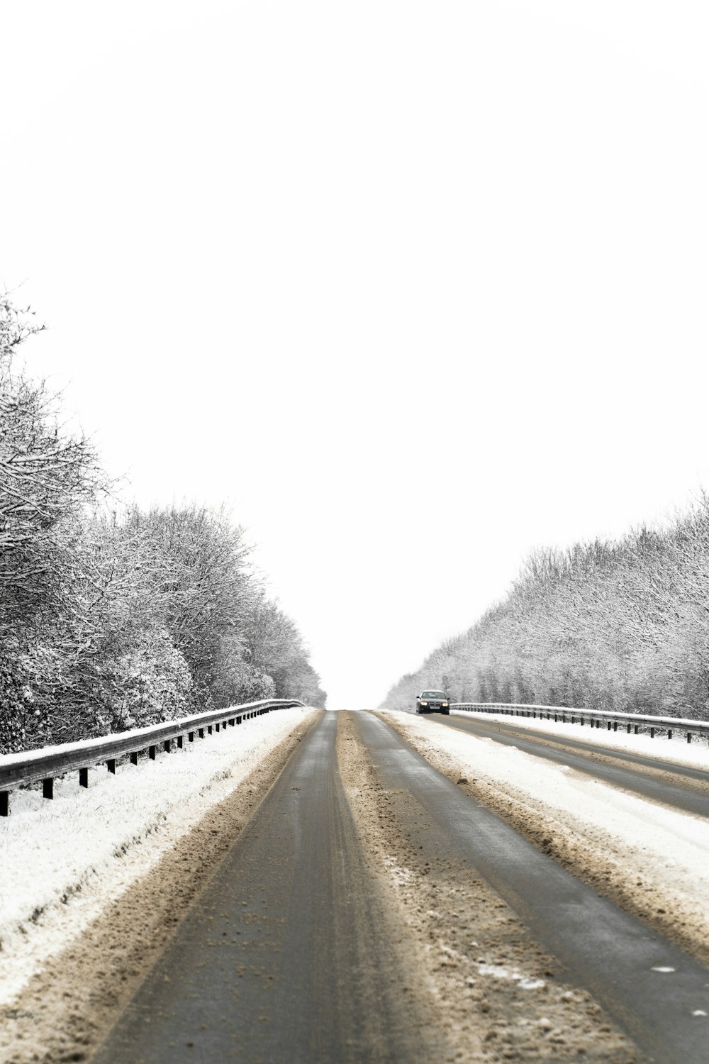 grayscale photo of road between trees