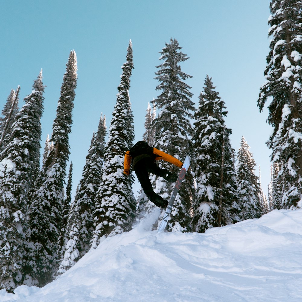 person in black jacket and black pants on snow covered ground near green pine trees during