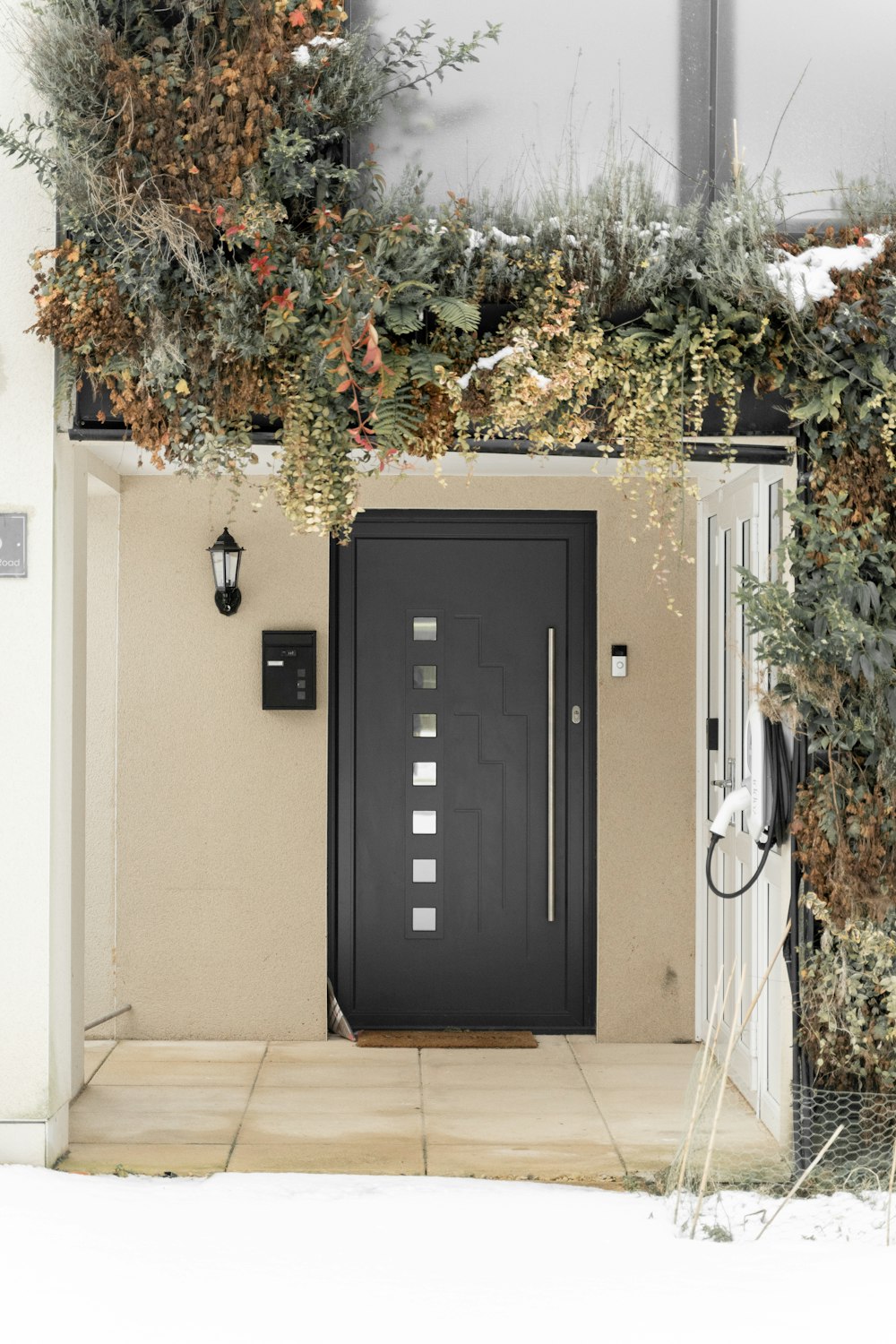 緑の植物の近くの黒い木製のドア