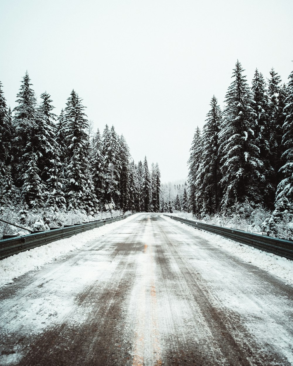 snow covered road between trees during daytime