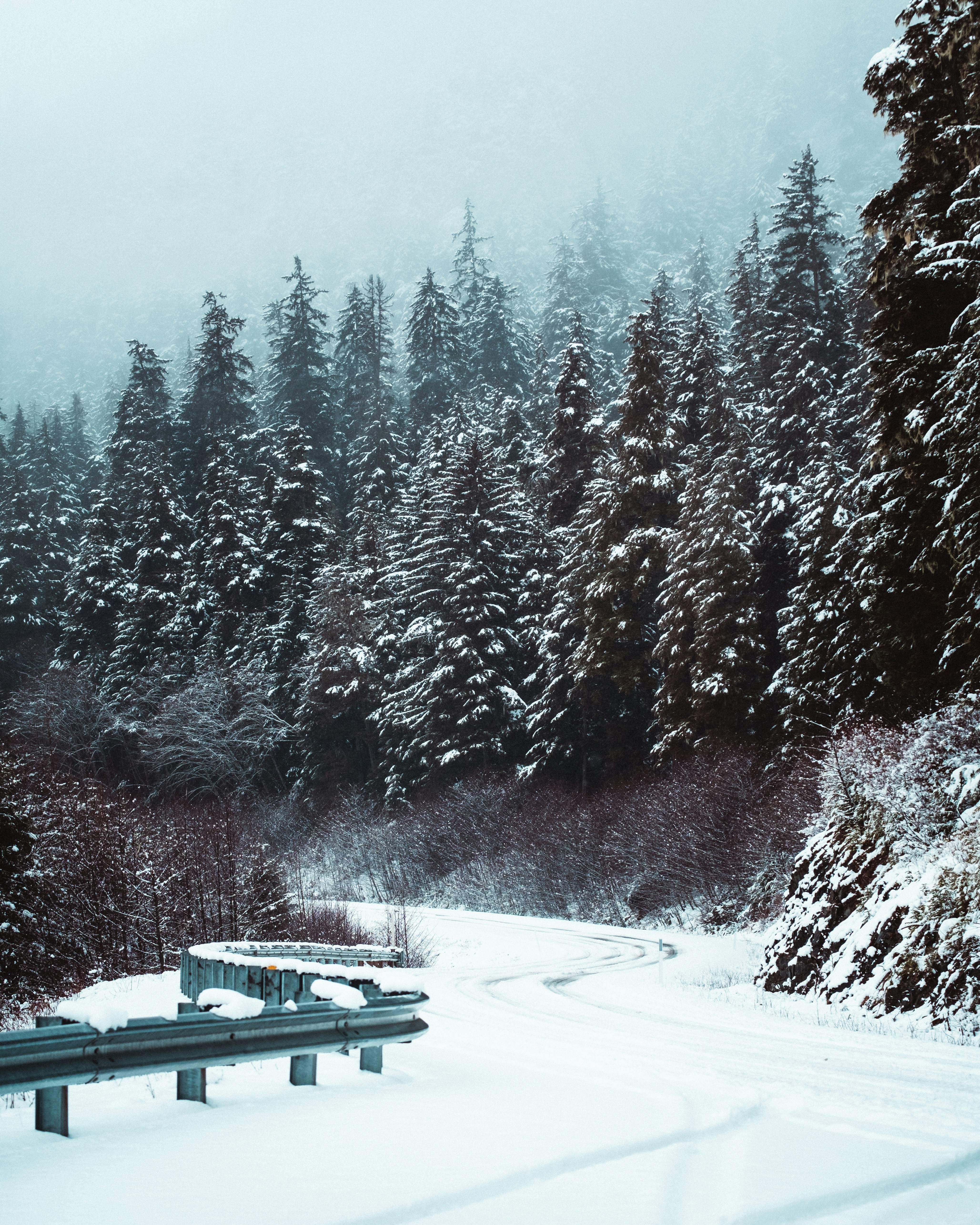 Photo by northernstatemedia