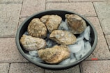 A round black dish contains several raw oysters placed on top of ice cubes. The dish is situated on a textured stone surface with a muted color palette.