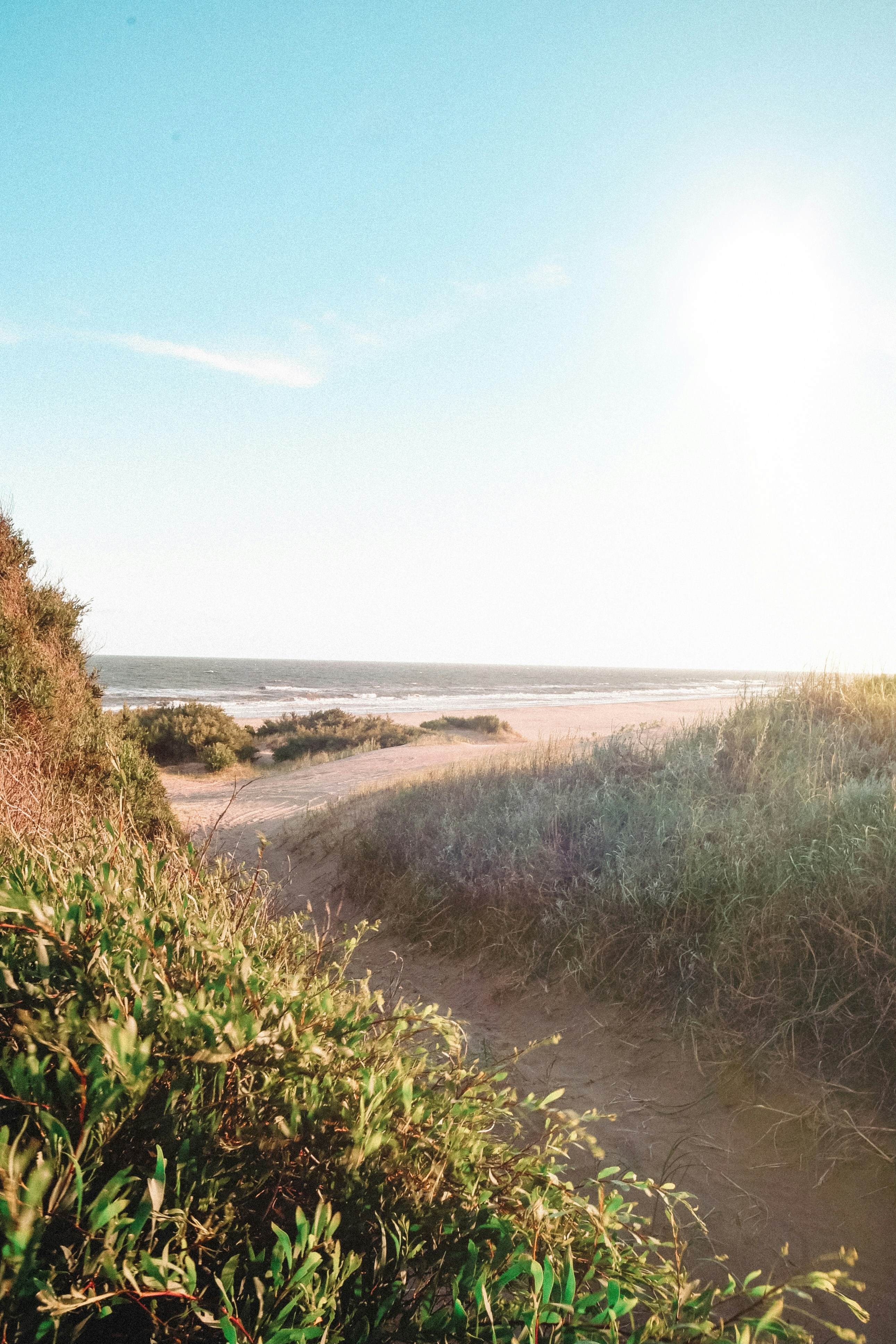 Photo by calamar_ete