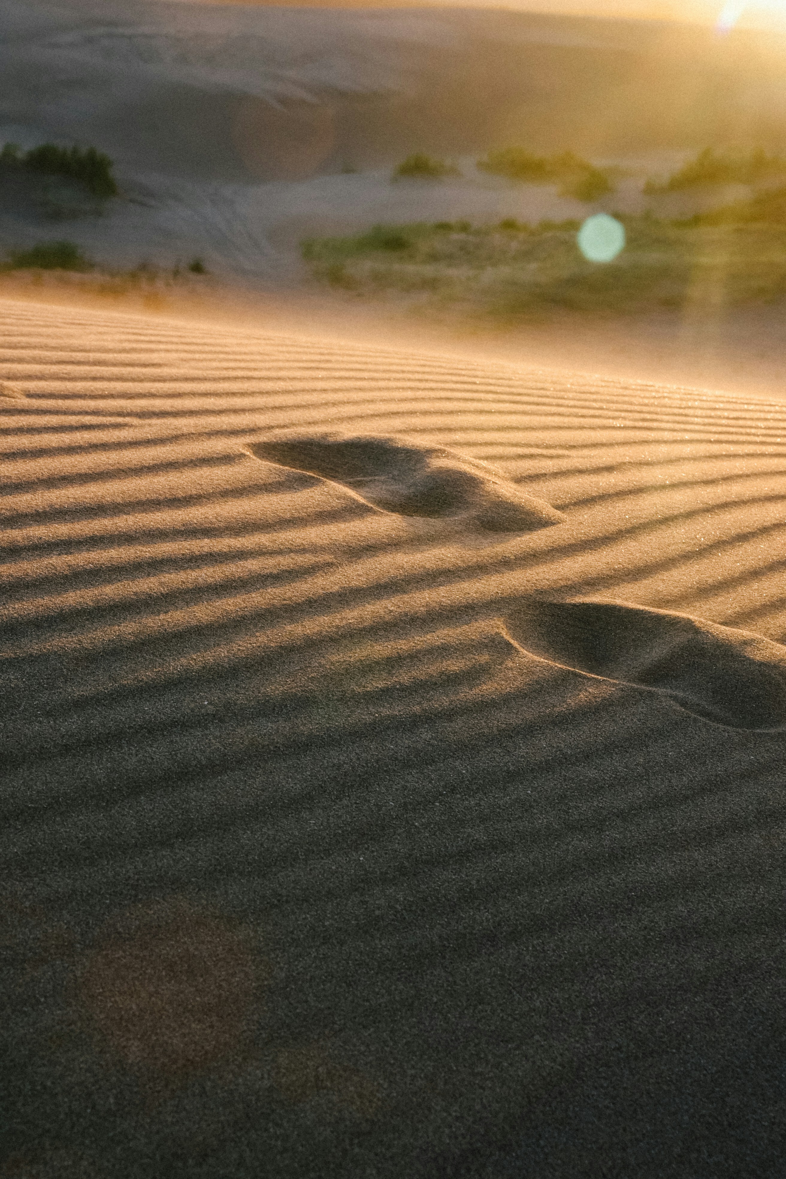 Photo by calamar_ete