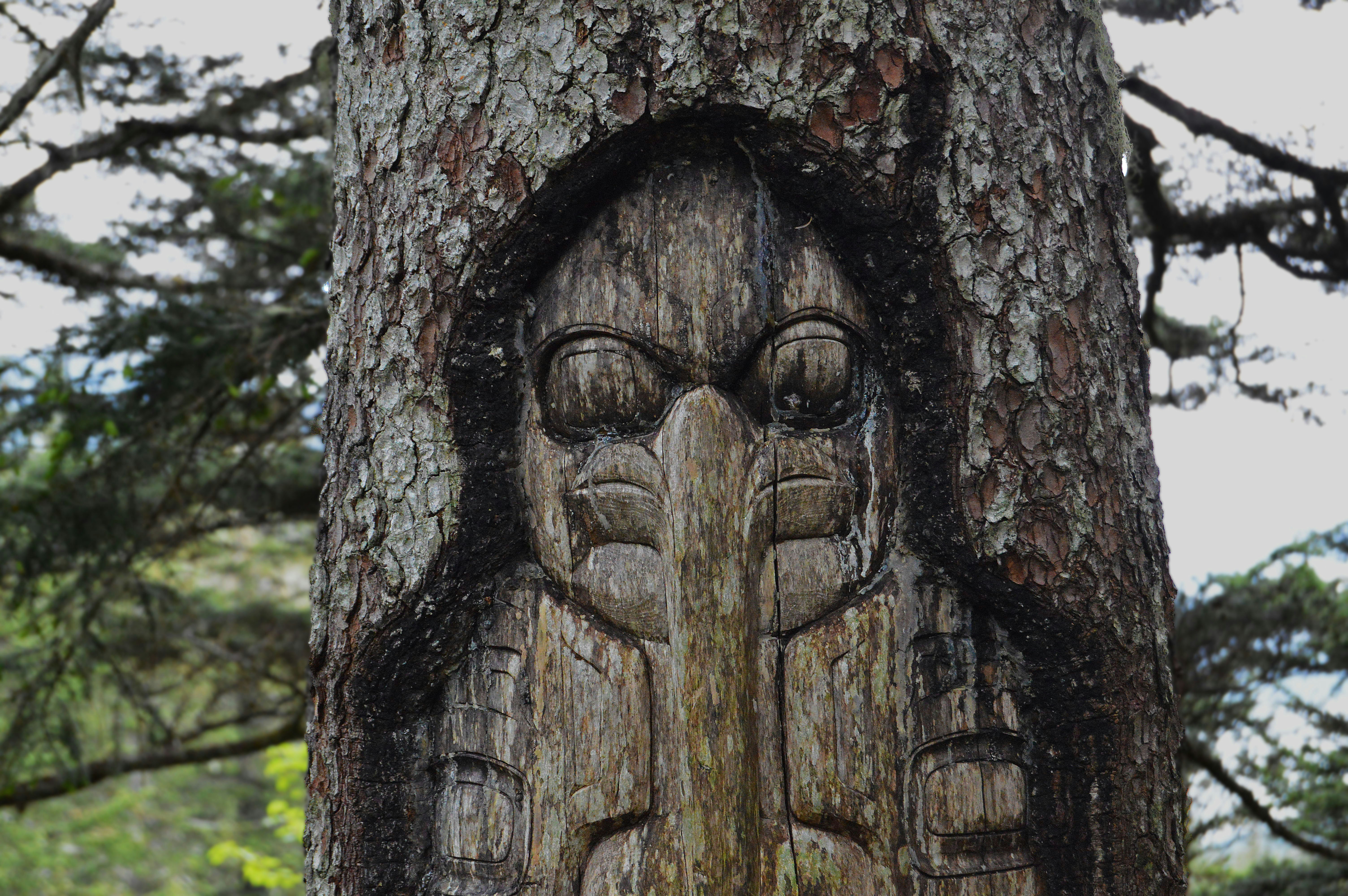 Photo by jonathanskule