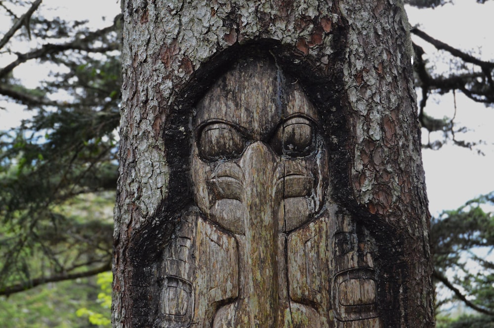 brown tree trunk with face carved