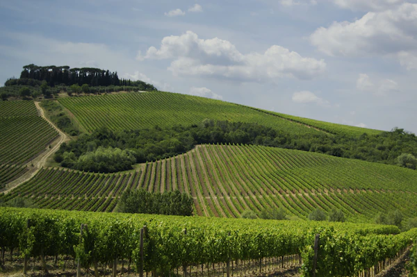 Florence & Chianti, Tuscany, Italy photo 2