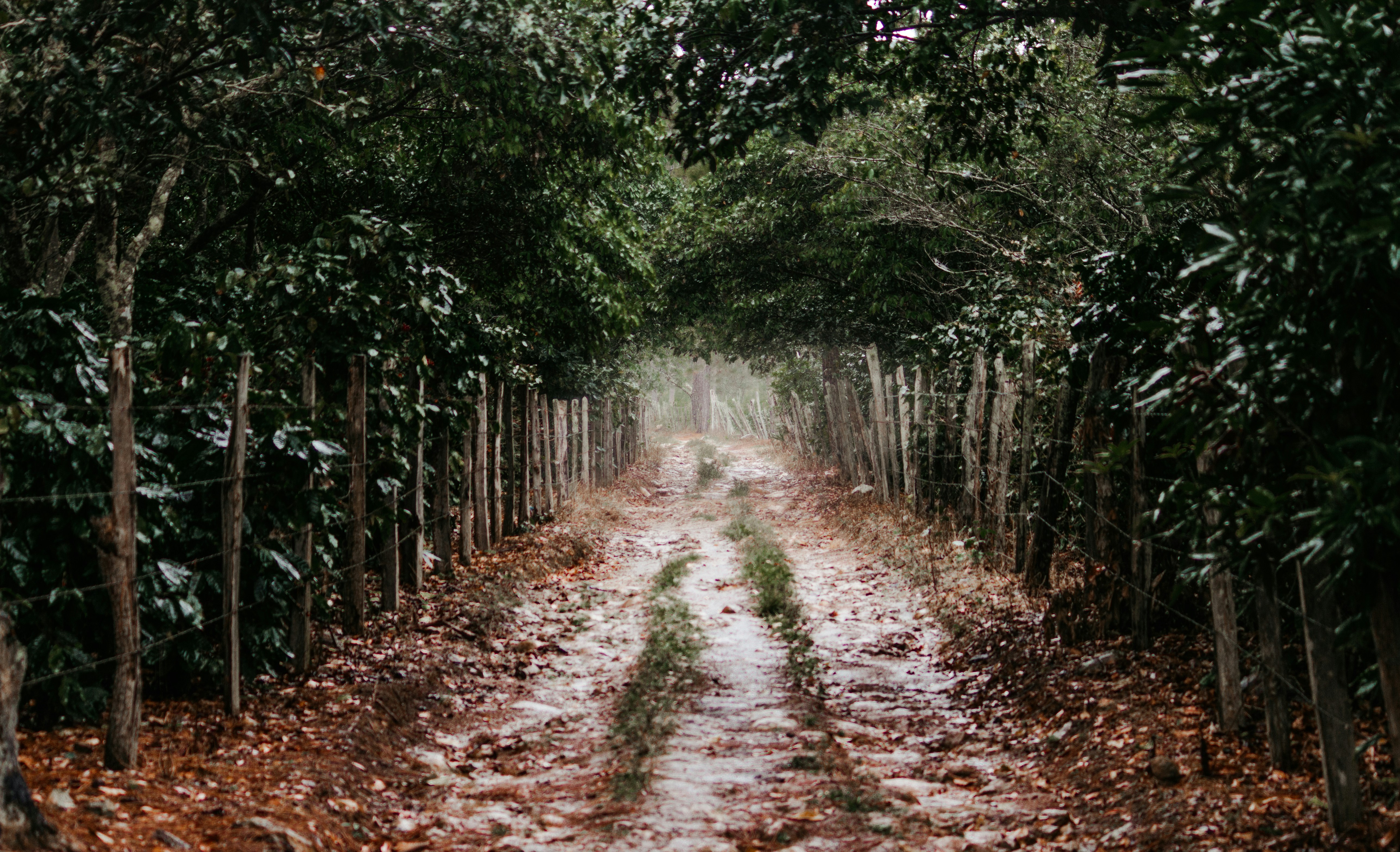 Photo by 17allansfilms