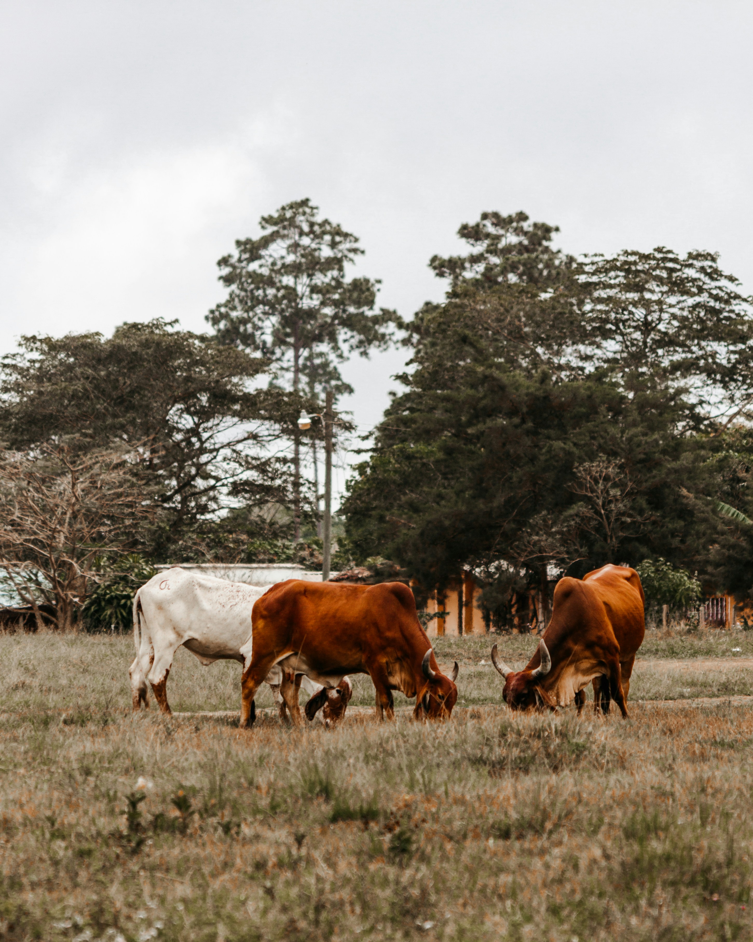 Photo by 17allansfilms