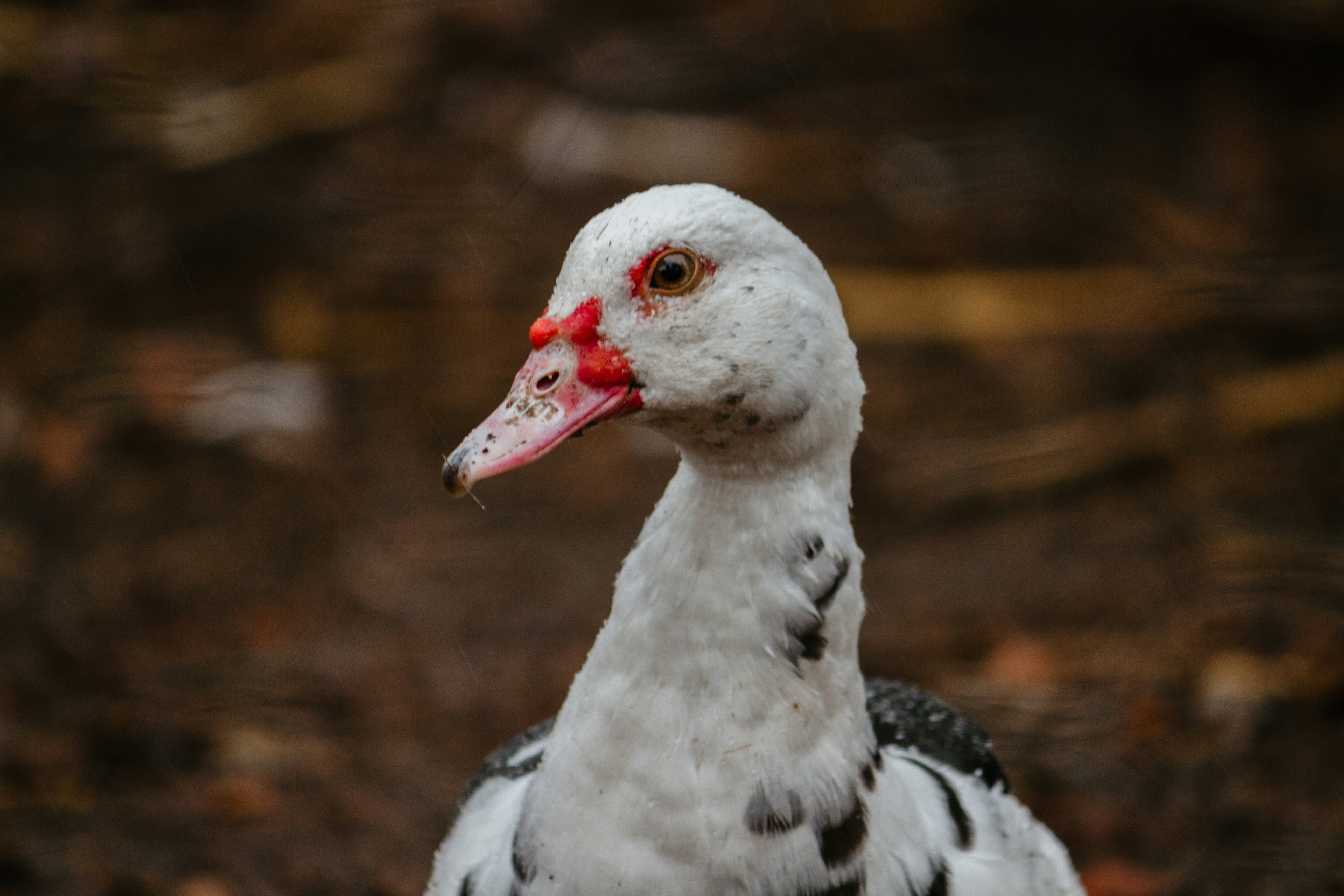 Photo by 17allansfilms