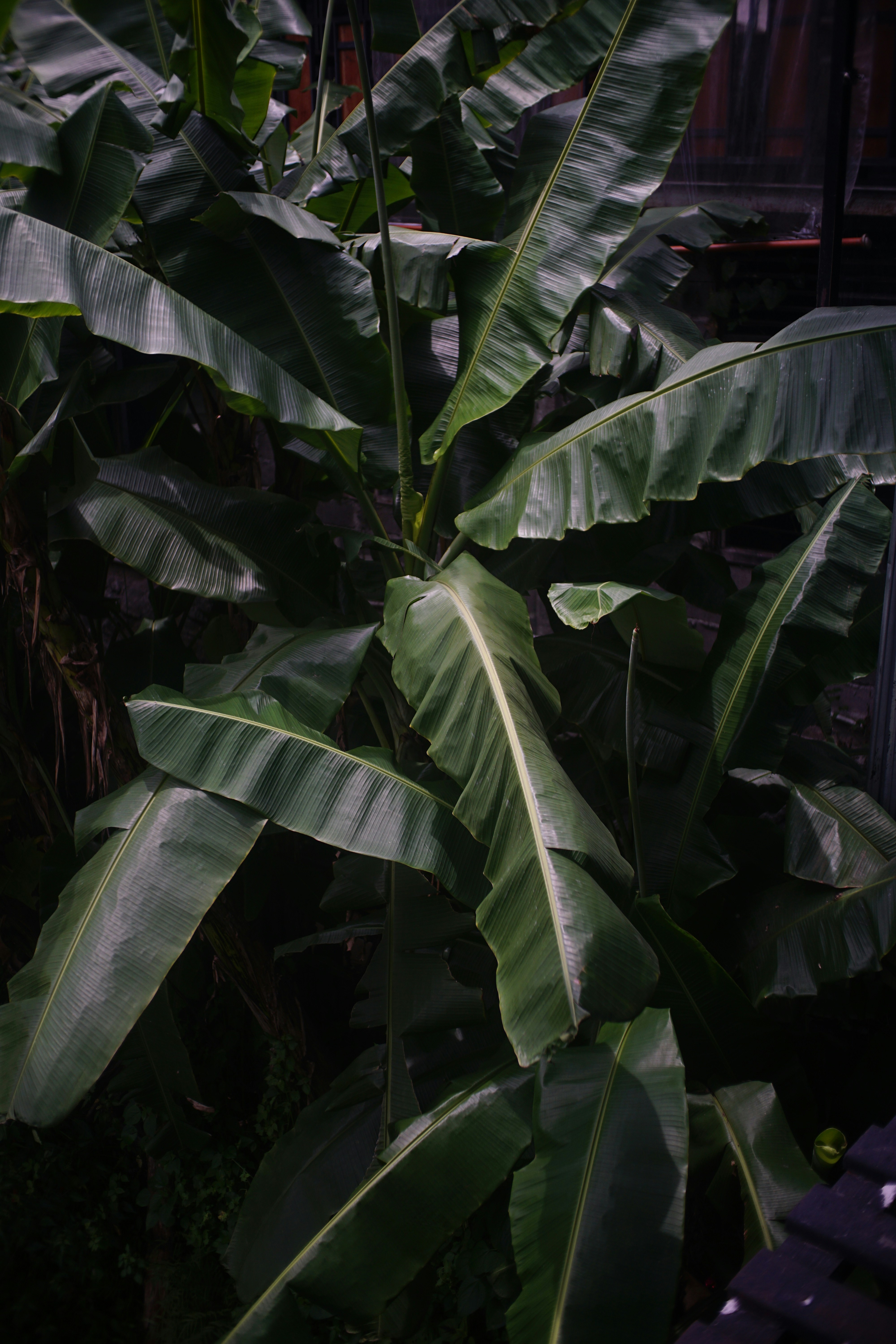 Photo by adrianusadr