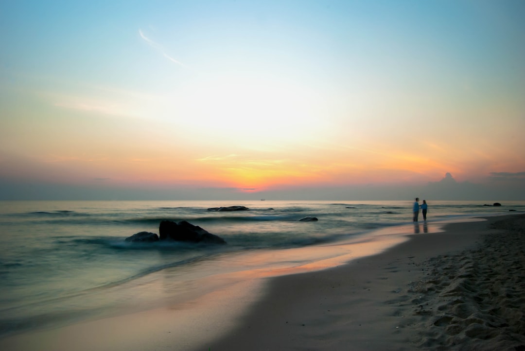 people on beach during sunset