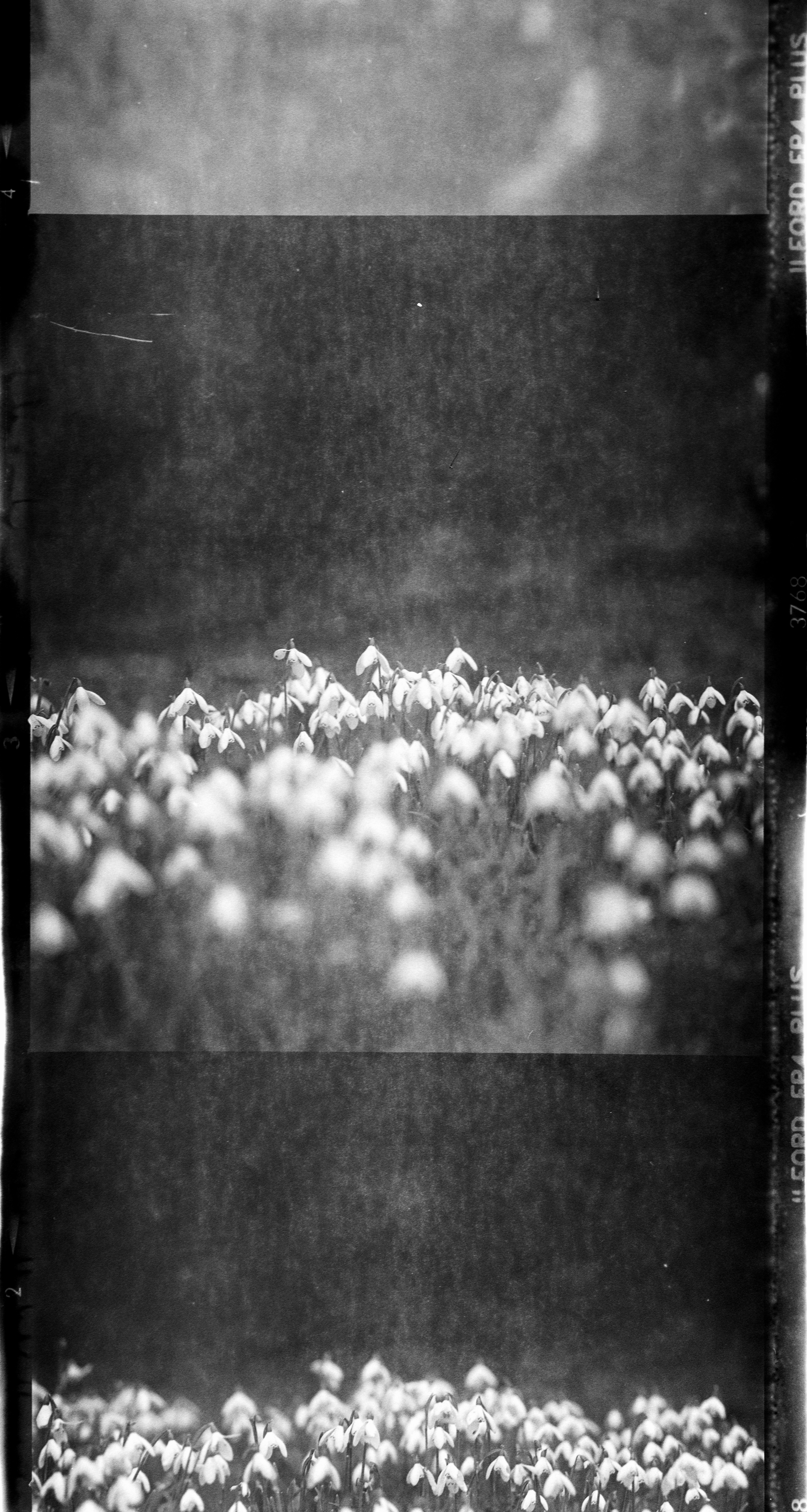 Photo by anniespratt