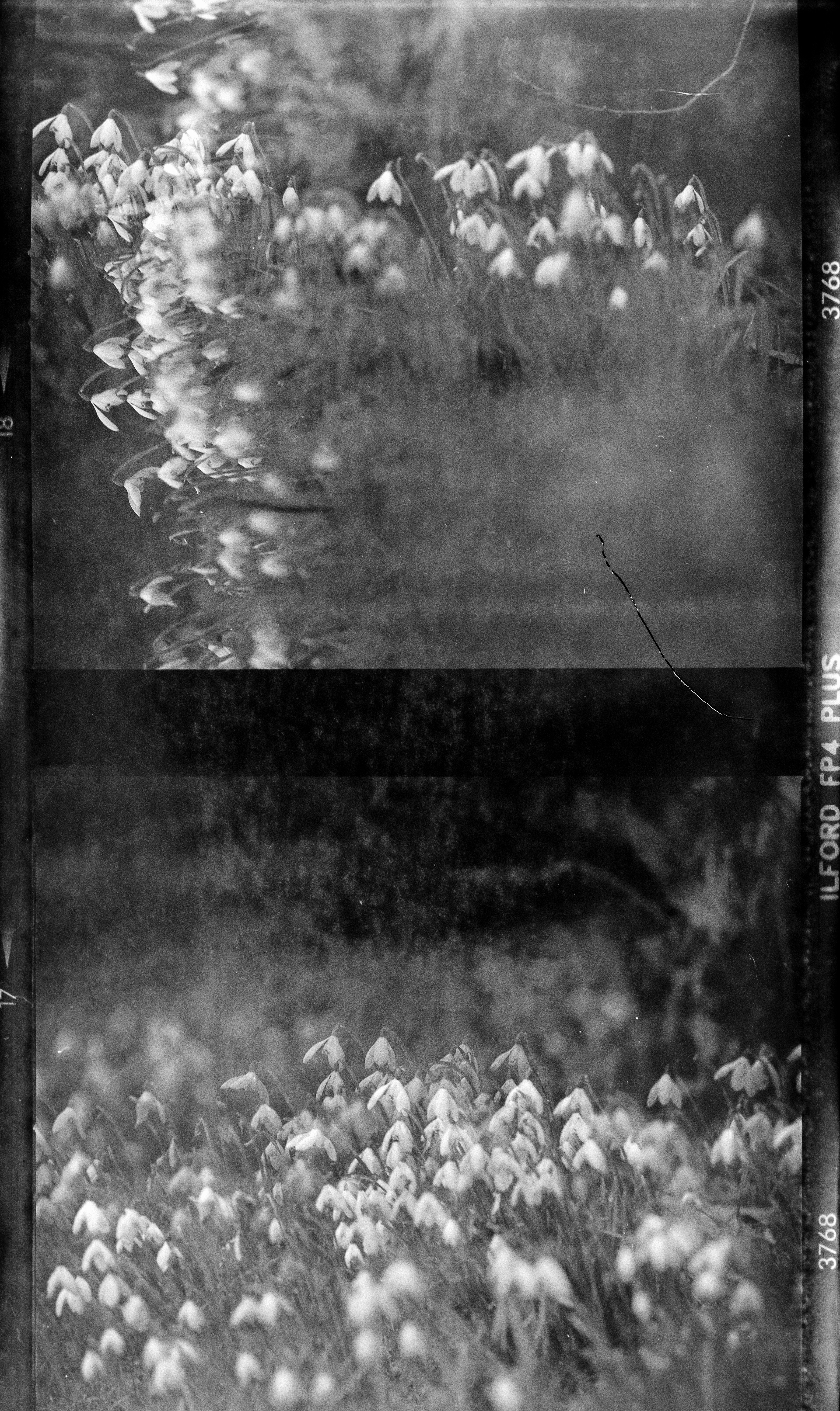 Photo by anniespratt