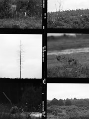 A montage of various project highlights.