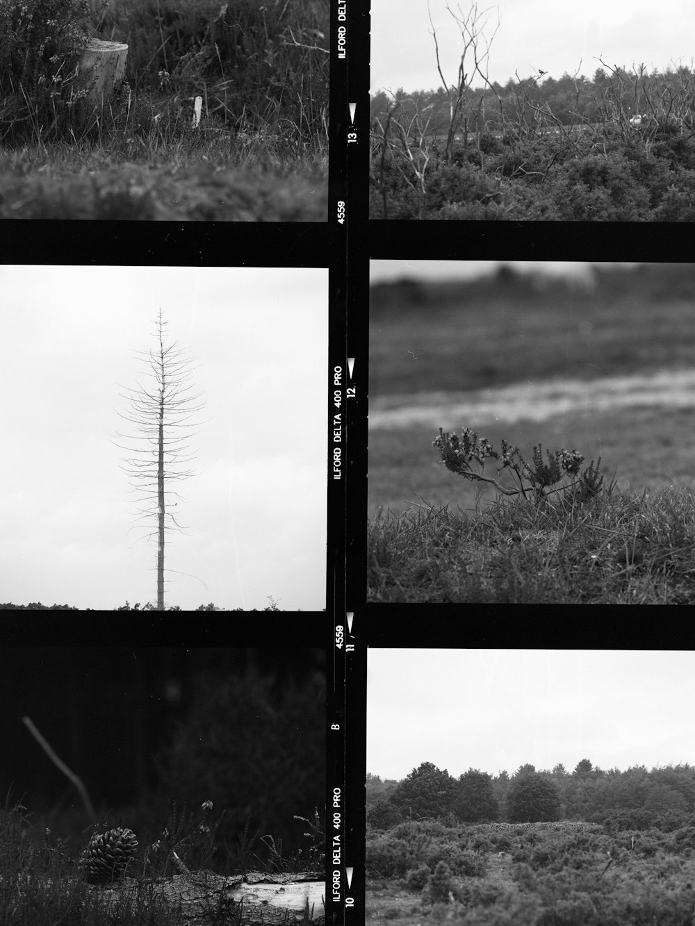 black wooden framed glass window